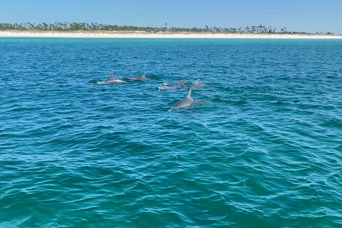 Shell Island Dolphin Sightseeing Boat Tour - Booking and Cancellation Policies