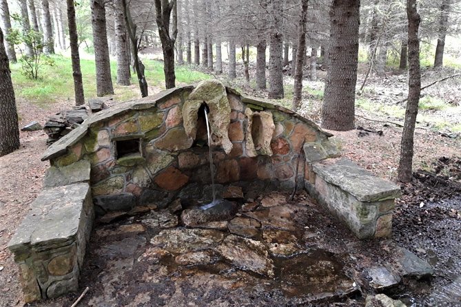 Shepherds' Tracks Through Forests and Natural Springs - Guided Tour Insights