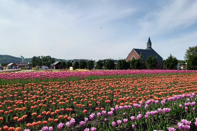 [Shibazakura / Tulip] Going by Private Car, Shibazakura Takinoue Park and Kamiyubetsu Tulip Park (From Sapporo) - Accessibility