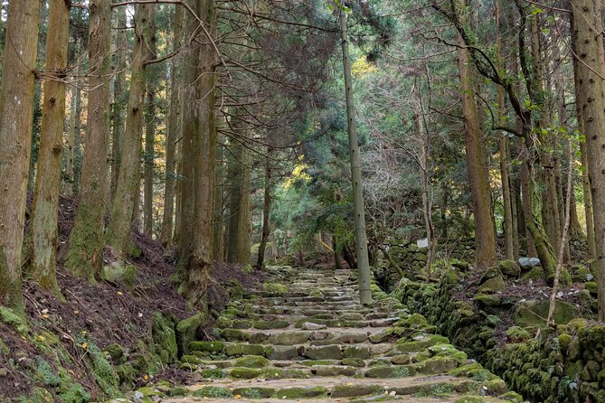 Shinrinyoku Explore the Historic Sites of Shugendo Culture - Shugendo: Exploring Japans Esoteric Mountain Practices