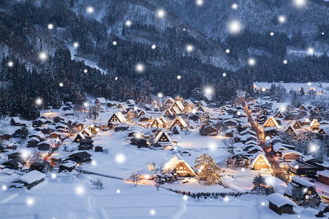 Shirakawago Day Trip: Government Licensed Guide & Vehicle From Takayama - Accessibility and Amenities
