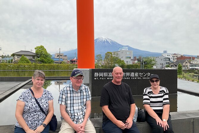 Shizuoka 6hr Private Tour and Japanese Tea Farm Tour With Vehicle - Accessibility and Participation