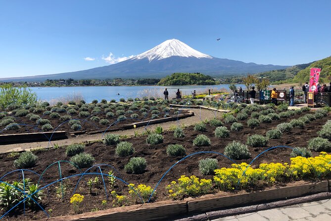 Shuttle Van Tour Mt.Fuji From Tokyo and Yokohama - Booking and Cancellation Policy