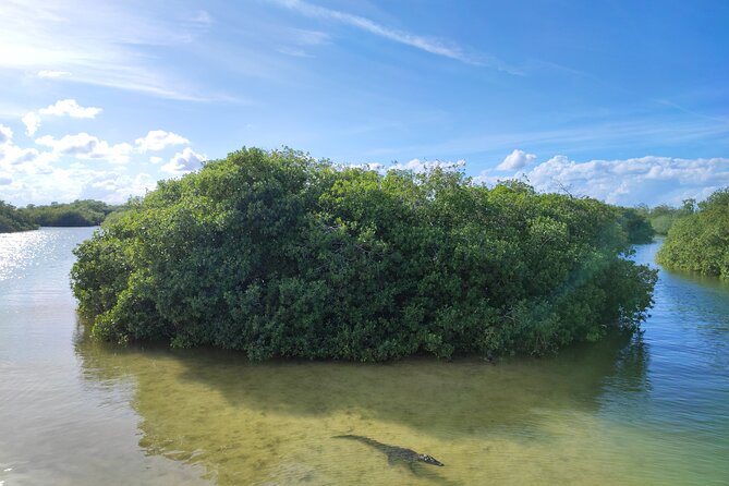 Sian Kaan Trip From Playa Del Carmen & Tulum - Customer Experiences and Feedback