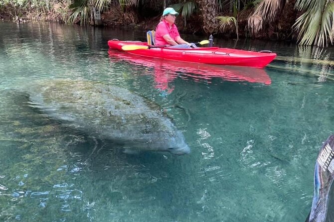 Silver Springs Clear Kayak Manatee & Monkey Adventures - Tour Guide Expertise