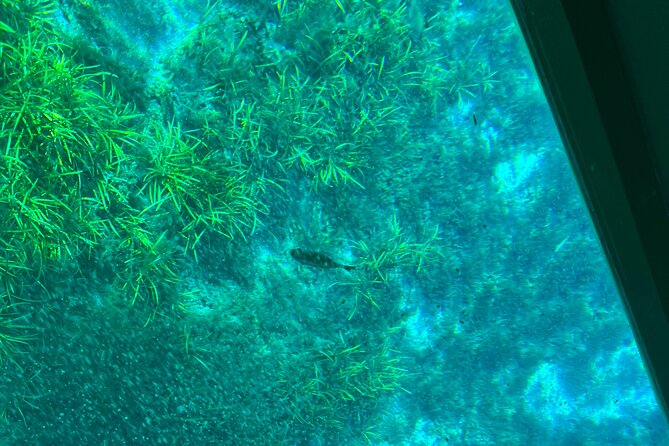 Silver Springs Glass-bottom Boat Tour Review - Meeting and Safety Information