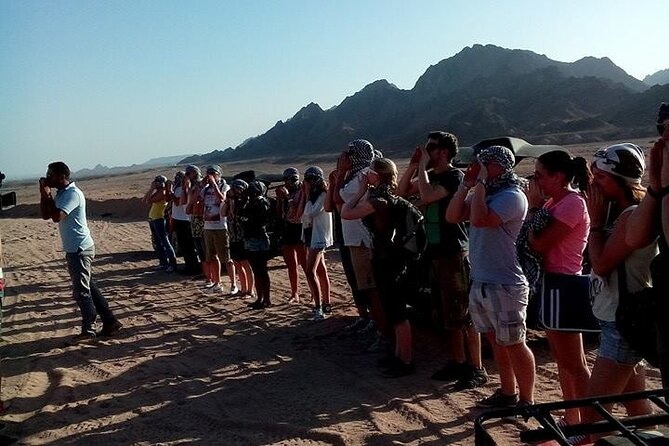 Sinai Desert Adventure Quad Bikes/ATV & Family Car Buggy - Adventure Highlights