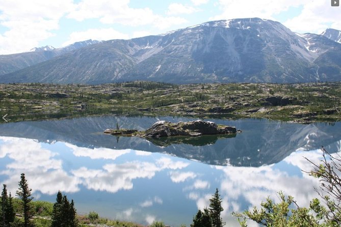 Skagway Shore Excursion: Yukon Dog Sledding and Sightseeing Tour - Dog-Sledding Experience