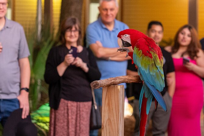 Skip The Line Central Florida Zoo Review - Visitor Experiences