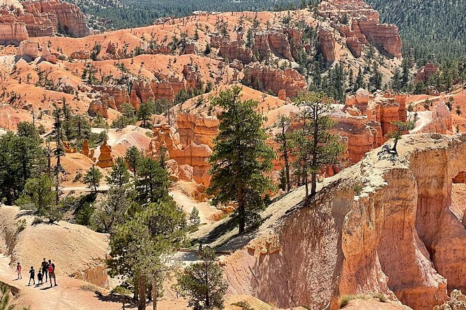 Small Group Day Tour To Explore Bryce Canyon & Zion National Park - Customer Feedback Summary