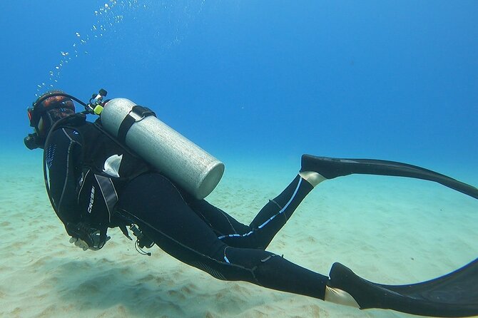 Small Group Discover Scuba Diving From Electric Beach With Photos - Health and Safety Considerations
