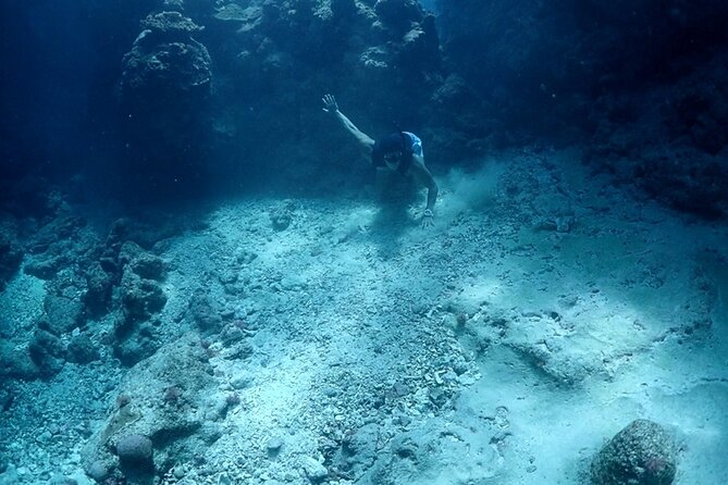 Small Group Diving Activity in Miyakojima - Cancellation and Flexibility