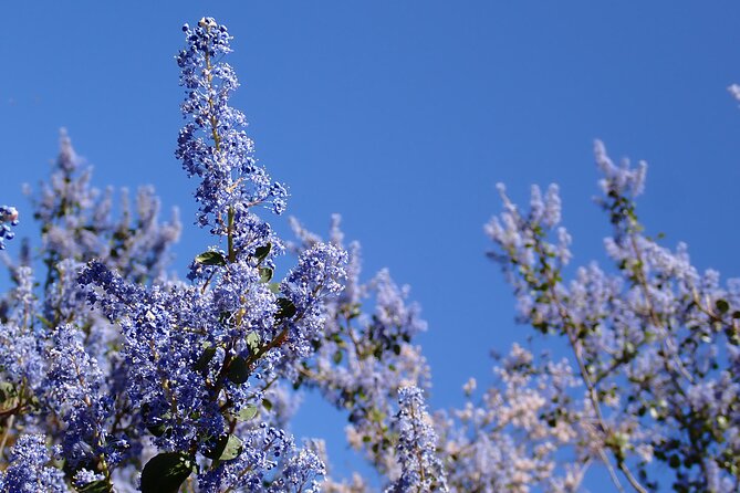 Small Group Hike Through San Diegos Heart and Soul - The Importance of Group Hiking