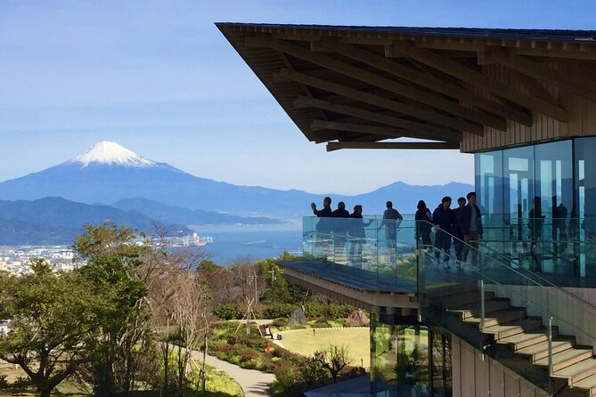 Small Group Japanese Green Tea Tasting in Shizuoka - Highlights of the Tour