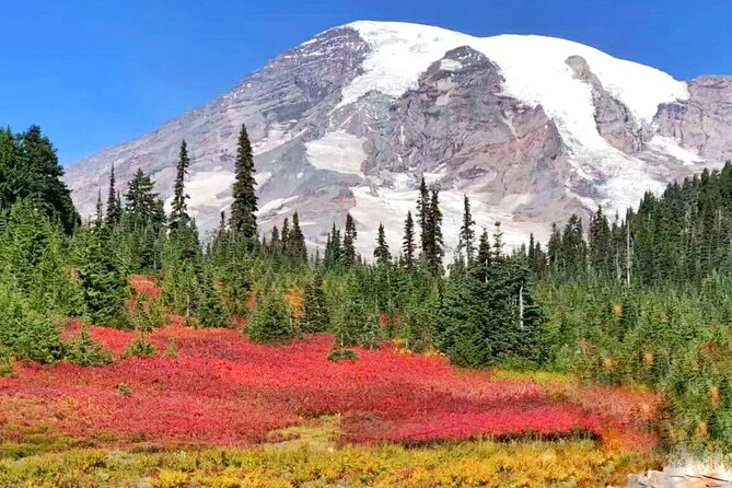 Small Group Mt Rainier National Park Day Tour From Seattle 2CANGO - Exploring Mount Rainier National Park