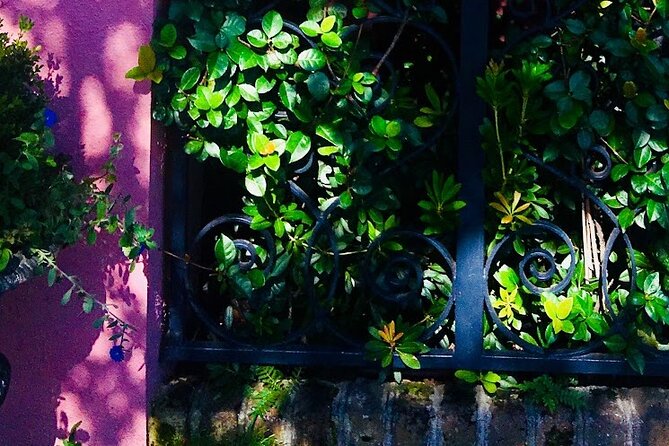 Small-Group Tour: Charleston Old Walled City Historical Walking Tour - Tour Pricing and Booking