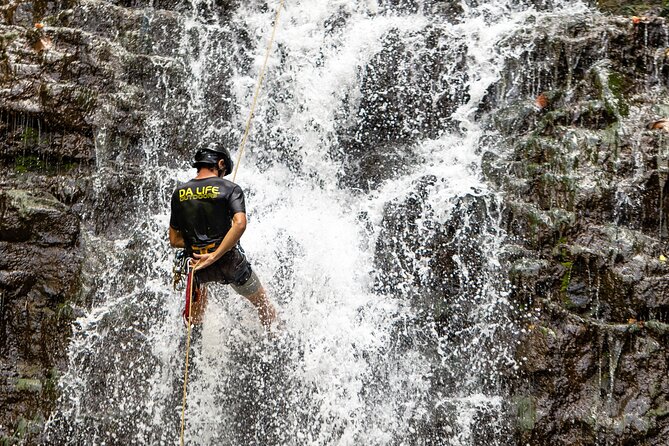 Small Group Waterfall Rappel in Lihue - Traveler Reviews and Highlights