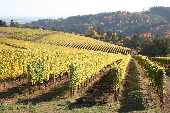 Small Group: Willamette Valley Wine Tour From Portland (Tasting Fees Included) - Transportation and Meeting Point