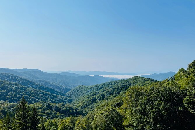 Smoky Mountains Newfound Gap Jeep Tour - Customer Feedback