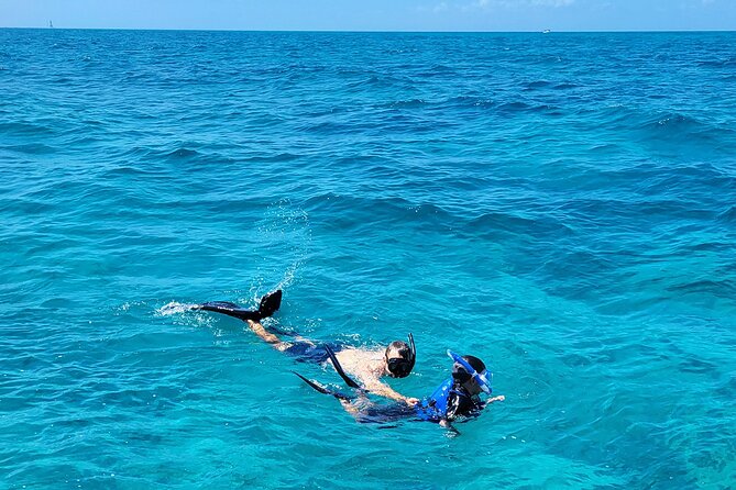 Snorkel Adventure at Looe Key - Booking Your Snorkel Tour