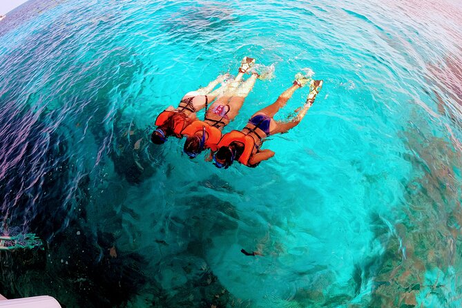 Snorkel Tour - Visit 2 Shallow Reefs John Pennekamp State Park - Marine Life at Horseshoe Reef