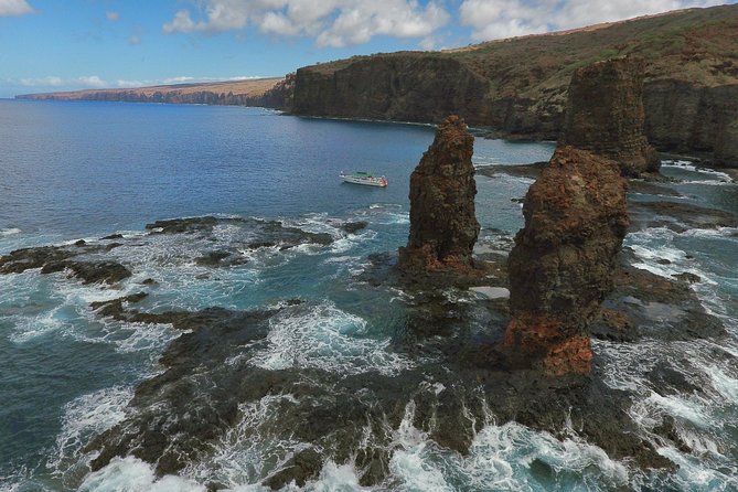 Snorkel Vessel Review: Private 3-Hour Adventure - Safety Considerations