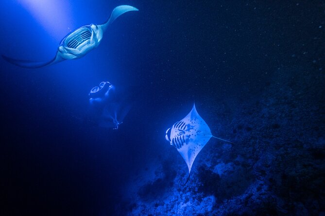 Snorkel With Giant Manta Rays In Kailua Kona - Preparing for Your Manta Ray Snorkeling Adventure