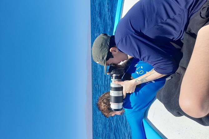 Snorkel With Whale Sharks Includes Equipment & Transportation - Cancellation Policy