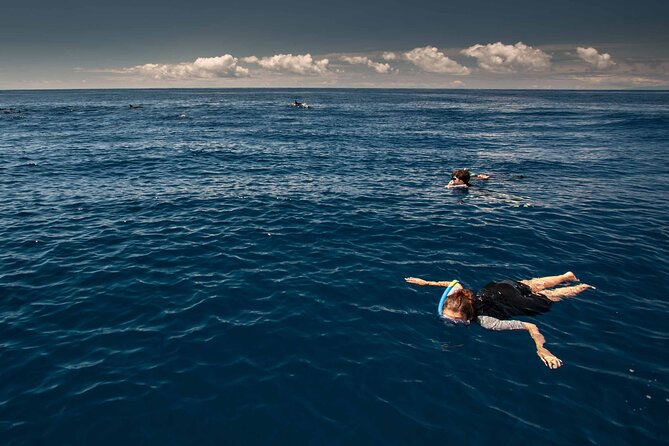 Snorkeling Experience in Terceira Island - The Sum Up