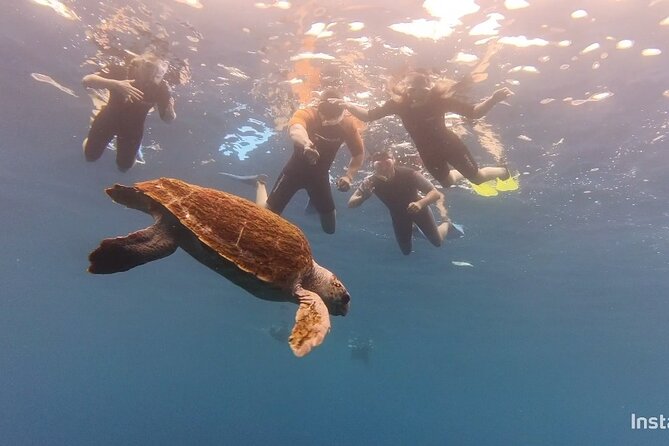 Snorkeling in a Wonderful Volcanic Bay - Booking and Cancellation Policy