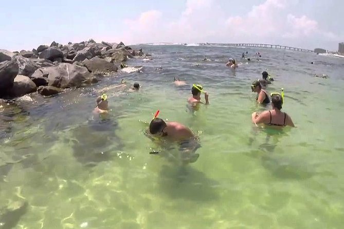 Snorkeling, Shelling & Eco Excursion - Shelling and Shell Collection