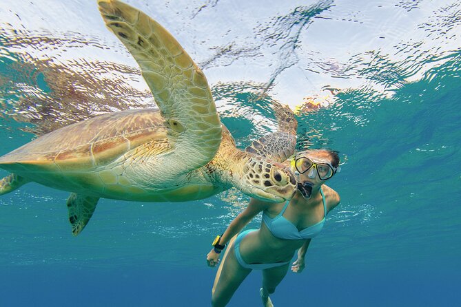 Snorkeling With Turtle/Water Scooter/Paddleboard Adventures Oahu - Frequently Asked Questions