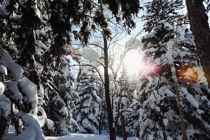 Snowshoe Adventures and Onsen Bliss Winter Escape in Furano - Reviews and Ratings