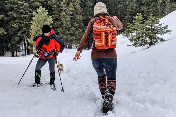 Snowshoe Tour Big Bear Lake Review - Snowshoeing Experience