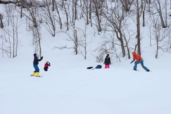 Snowshoe Tours in Niseko Explore Beautiful Snowscapes Adventure - Snowshoe Excursions: An Unforgettable Experience