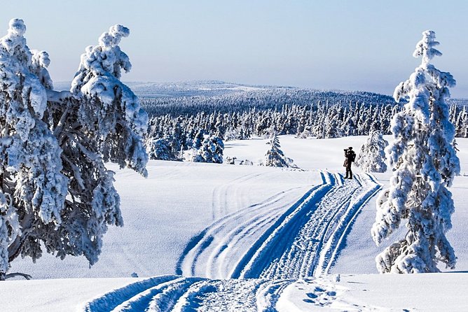Snowshoe Trip Searching for Arctic Animals From Kemi - Exploring Laplands Wilderness
