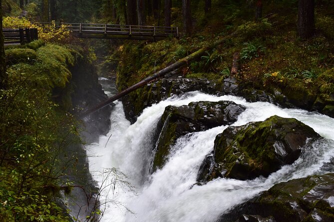 Sol Duc, Lake Crescent, and Hurricane Ridge Guided Tour in Olympic National Park - Discovering the Beauty of Lake Crescent