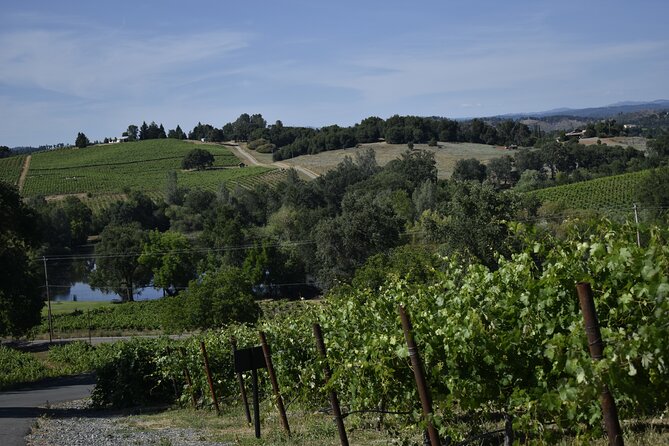 Sonoma and Napa Wine Tour Private Tours 8 to 10 Hours Max 14 Pax - Health and Safety Measures