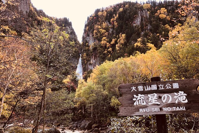 Sounkyo Gorge Autumn Leaves Ice Pavilion Day Tour by Private Car - Inclusions