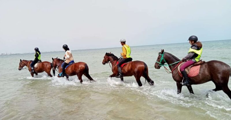 Sousse/Monastir: Private Horseback Riding Trip With Transfer - Scenic Countryside and Beach Rides