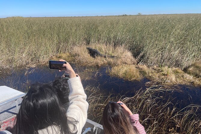 SOUTH BEACH: Everglades Airboat, Wildlife Show With Transfer - Customer Feedback and Experiences