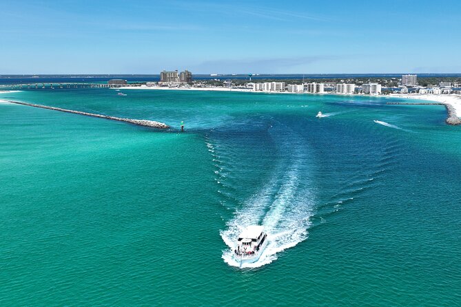 Southern Star Dolphin Cruise - Booking Details