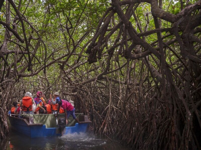 Sri Lanka Rainforest Trekking, Wildlife Safari, Water Sport - Adventure Activities