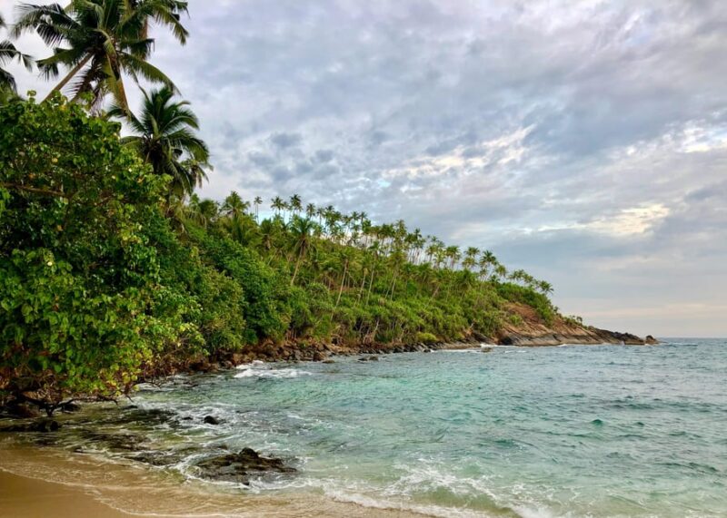 Sri Lanka: Wildlife and Beach - Mirissa and Whale Watching