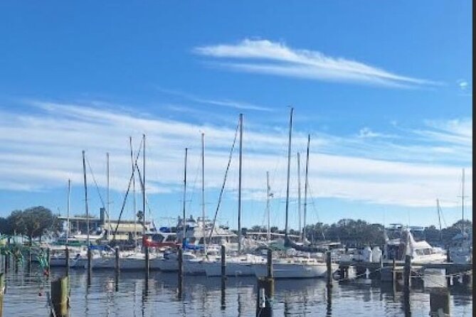 St Pete Sip & Dine Tour Review - Food and Beverage Experience