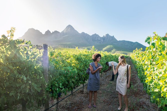 Stellenbosch, Paarl & Franschhoek Private Full Day Wine Tour - Inclusions and Amenities