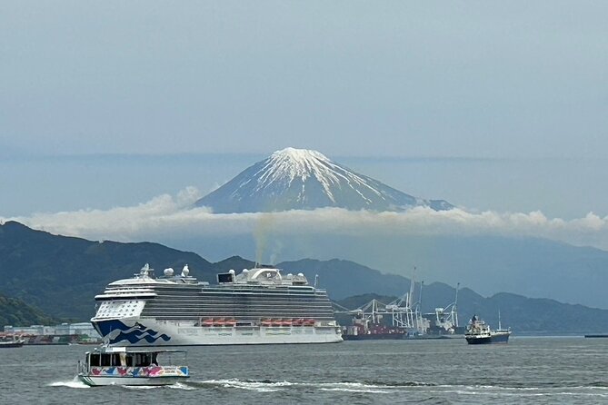 Step-Free Easy Going Tour From Shimizu Port / Small Bus - Accessibility