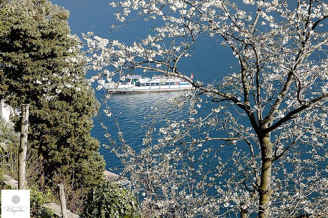 Stunning Photo Tour From Lugano to Gandria With Photo Pro - Additional Tour Information