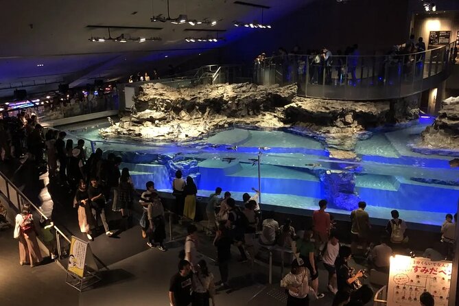 Sumida Aquarium Ticket Tokyo - Accessibility and Participation