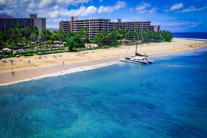 Summer Morning Express Snorkel Adventure off Kaanapali Beach - Customer Feedback